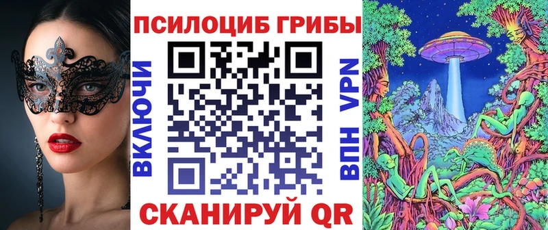 купить  цена  Кызыл  Галлюциногенные грибы Psilocybe 